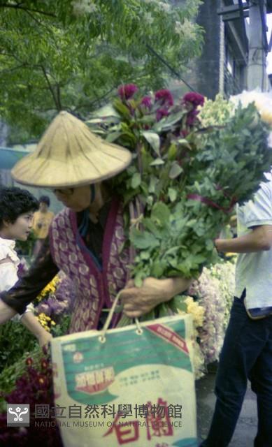 1950至2006年臺灣常民生活藏品圖，第1張