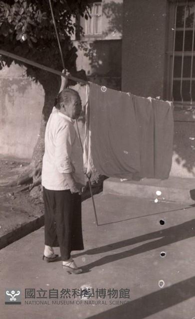 1950至2006年臺灣常民生活 藏品圖，第1張