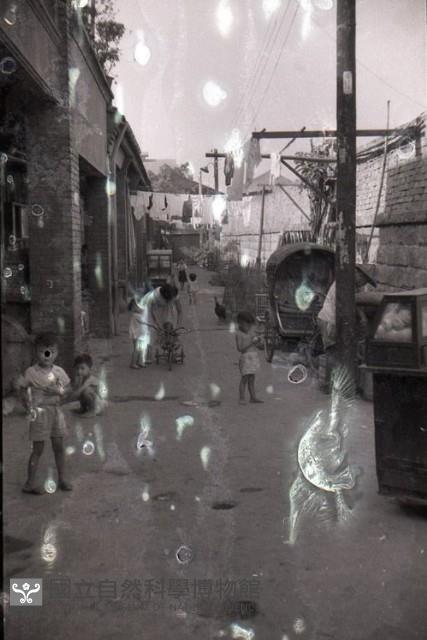 1950至2006年臺灣常民生活藏品圖，第1張