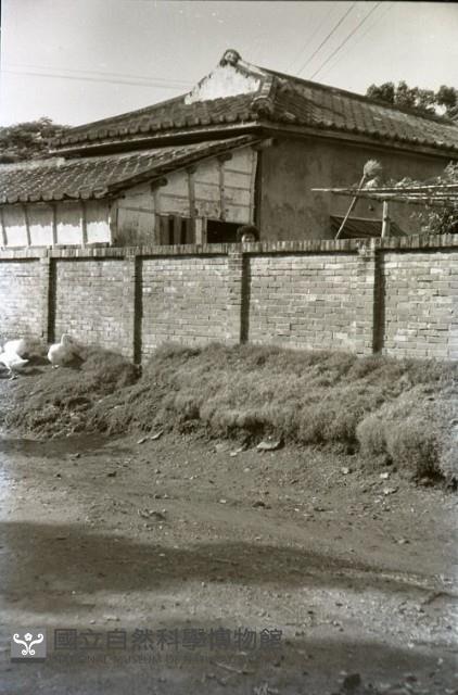 1950至2006年臺灣常民生活藏品圖，第1張