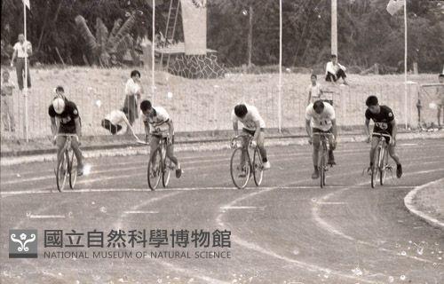 1950至2006年臺灣常民生活藏品圖，第1張