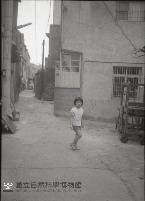 1950至2006年臺灣常民生活藏品圖，第1張