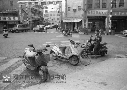 1950至2006年臺灣常民生活藏品圖，第1張