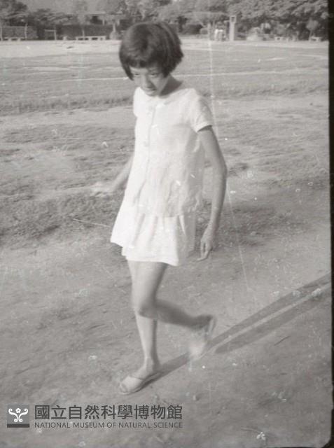1950至2006年臺灣常民生活藏品圖，第1張