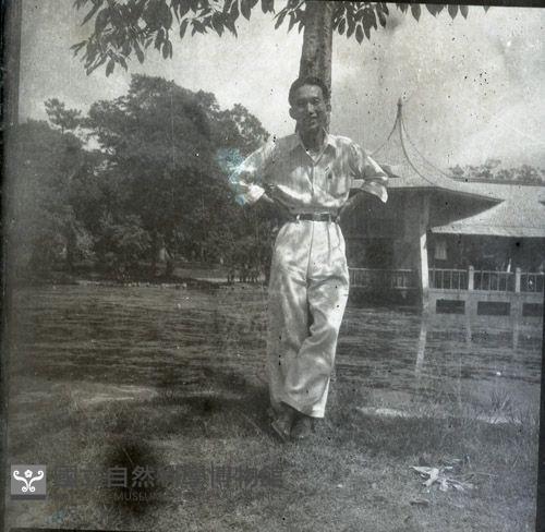 1950至2006年臺灣常民生活藏品圖，第1張