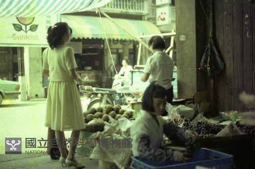 1950至2006年臺灣常民生活藏品圖，第1張