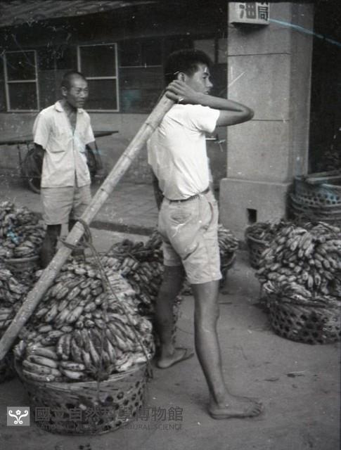 1950至2006年臺灣常民生活藏品圖，第1張