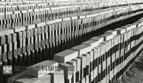 1950至2006年臺灣常民生活藏品圖，第1張