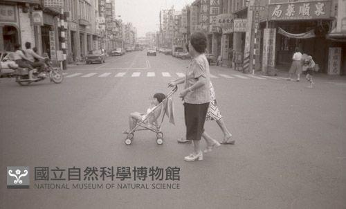 1950至2006年臺灣常民生活藏品圖，第1張