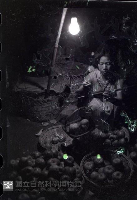 1950至2006年臺灣常民生活藏品圖，第1張