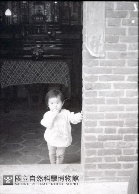 1950至2006年臺灣常民生活藏品圖，第1張
