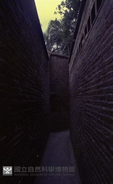 1950至2006年臺灣常民生活藏品圖，第1張