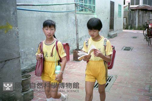 1950至2006年臺灣常民生活藏品圖，第1張