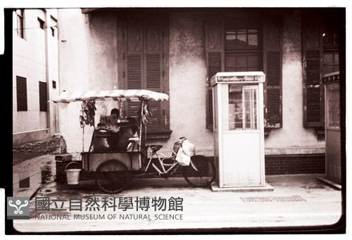 1950至2006年臺灣常民生活藏品圖，第1張