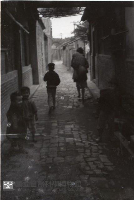 1950至2006年臺灣常民生活藏品圖，第1張