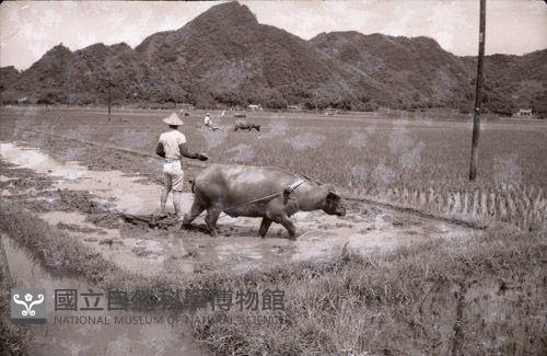 1950至2006年臺灣常民生活藏品圖，第1張