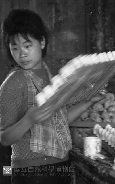 1950至2006年臺灣常民生活藏品圖，第1張