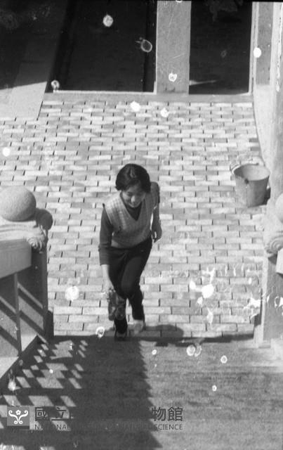 1950至2006年臺灣常民生活藏品圖，第1張