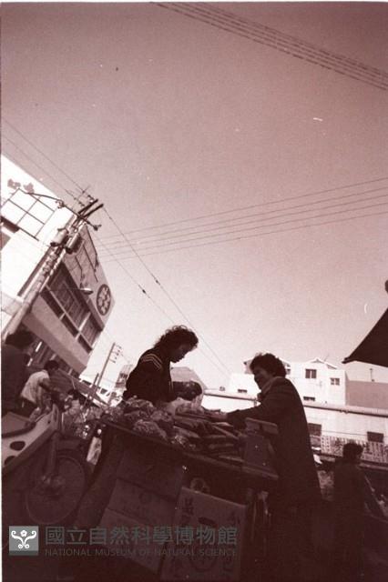 1950至2006年臺灣常民生活藏品圖，第1張