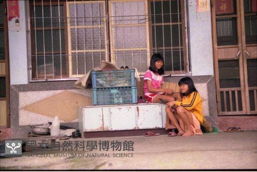 1950至2006年臺灣常民生活藏品圖，第1張