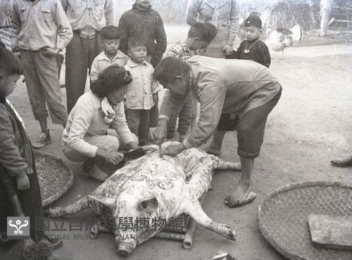 喜宴殺豬（1950至2006年臺灣常民生活）藏品圖，第1張