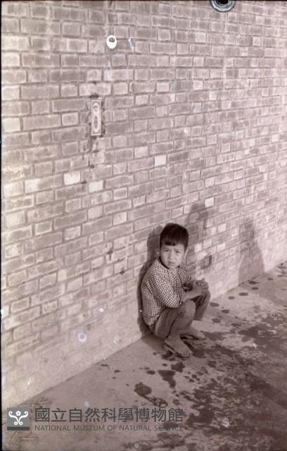 1950至2006年臺灣常民生活藏品圖，第1張