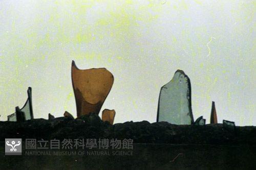 1950至2006年臺灣常民生活藏品圖，第1張