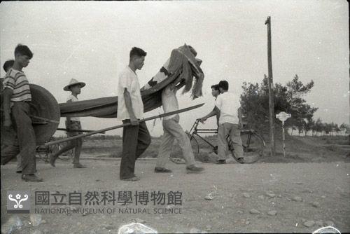 1950至2006年臺灣常民生活藏品圖，第1張