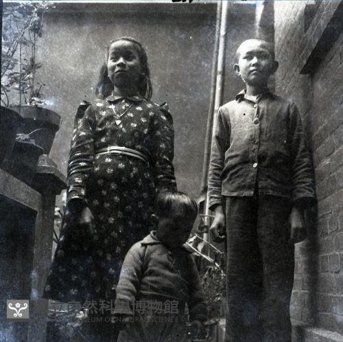 1950至2006年臺灣常民生活藏品圖，第1張