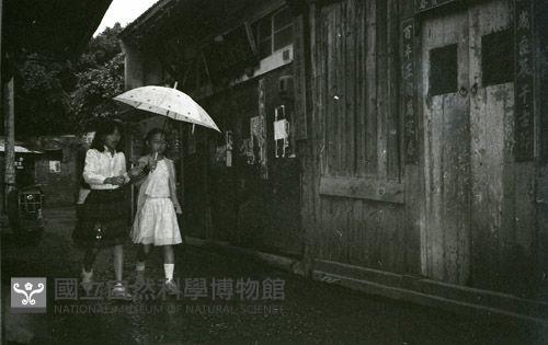 1950至2006年臺灣常民生活藏品圖，第1張