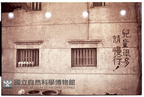 1950至2006年臺灣常民生活藏品圖，第1張