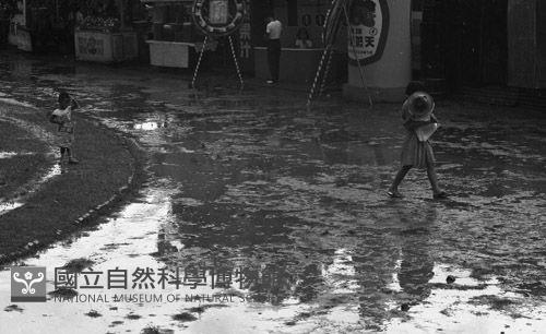 1950至2006年臺灣常民生活藏品圖，第1張