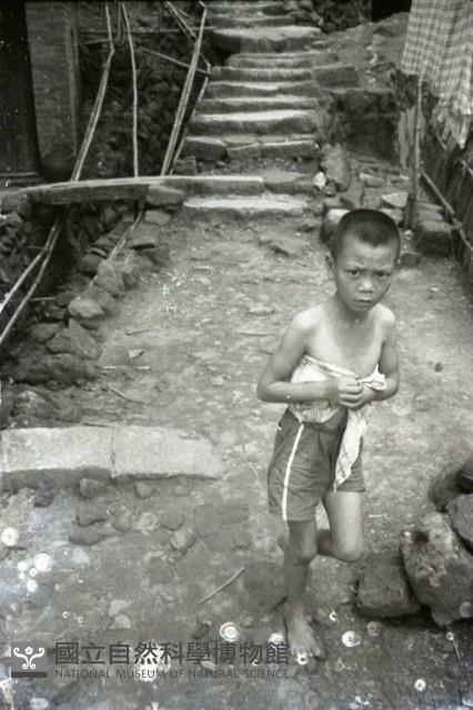 1950至2006年臺灣常民生活藏品圖，第1張