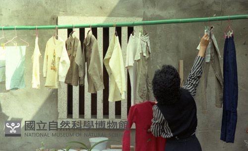 1950至2006年臺灣常民生活藏品圖，第1張