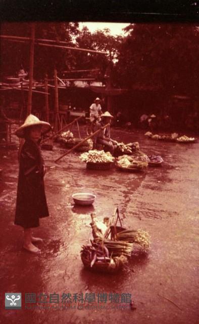 1950至2006年臺灣常民生活藏品圖，第1張