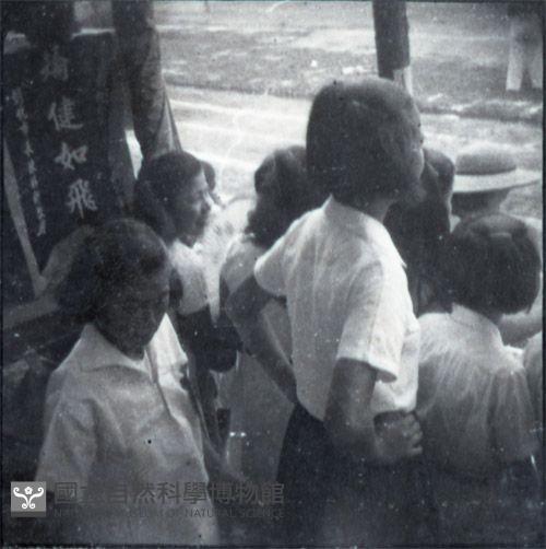 1950至2006年臺灣常民生活藏品圖，第1張
