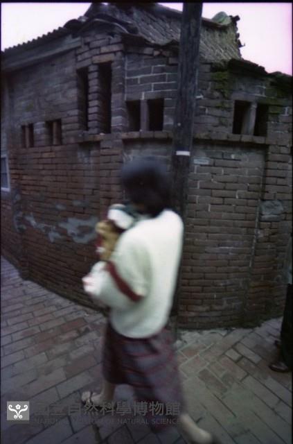 1950至2006年臺灣常民生活藏品圖，第1張