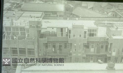 1950至2006年臺灣常民生活藏品圖，第1張