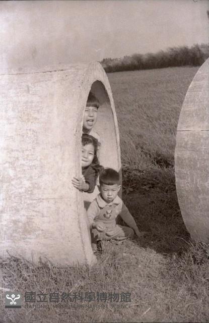 1950至2006年臺灣常民生活藏品圖，第1張