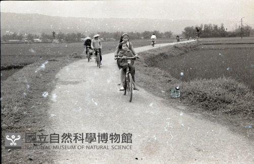 1950至2006年臺灣常民生活藏品圖，第1張