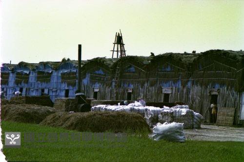 1950至2006年臺灣常民生活藏品圖，第1張