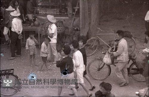 1950至2006年臺灣常民生活藏品圖，第1張