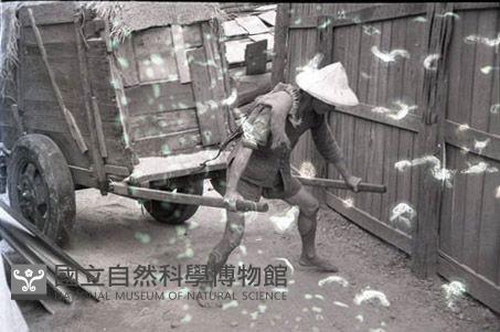 1950至2006年臺灣常民生活藏品圖，第1張