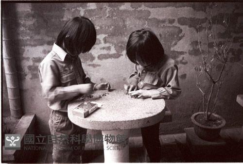1950至2006年臺灣常民生活藏品圖，第1張