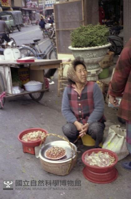 1950至2006年臺灣常民生活藏品圖，第1張