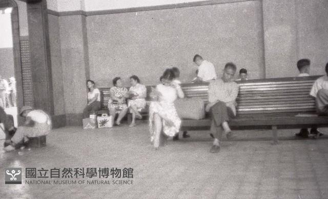 1950至2006年臺灣常民生活藏品圖，第1張