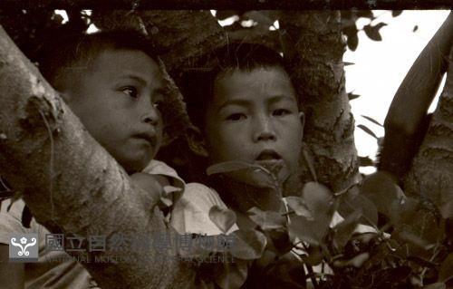 1950至2006年臺灣常民生活藏品圖，第1張