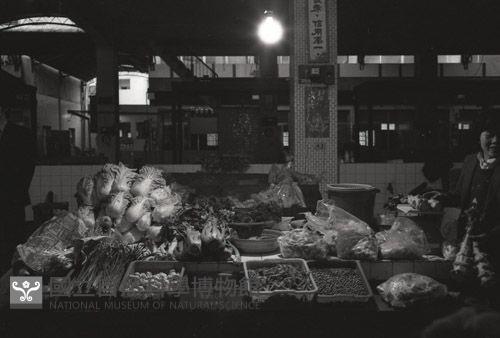 1950至2006年臺灣常民生活藏品圖，第1張