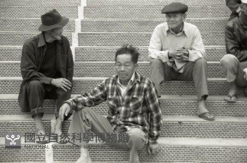 1950至2006年臺灣常民生活藏品圖，第1張