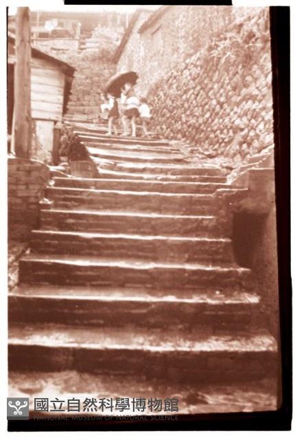 1950至2006年臺灣常民生活藏品圖，第1張